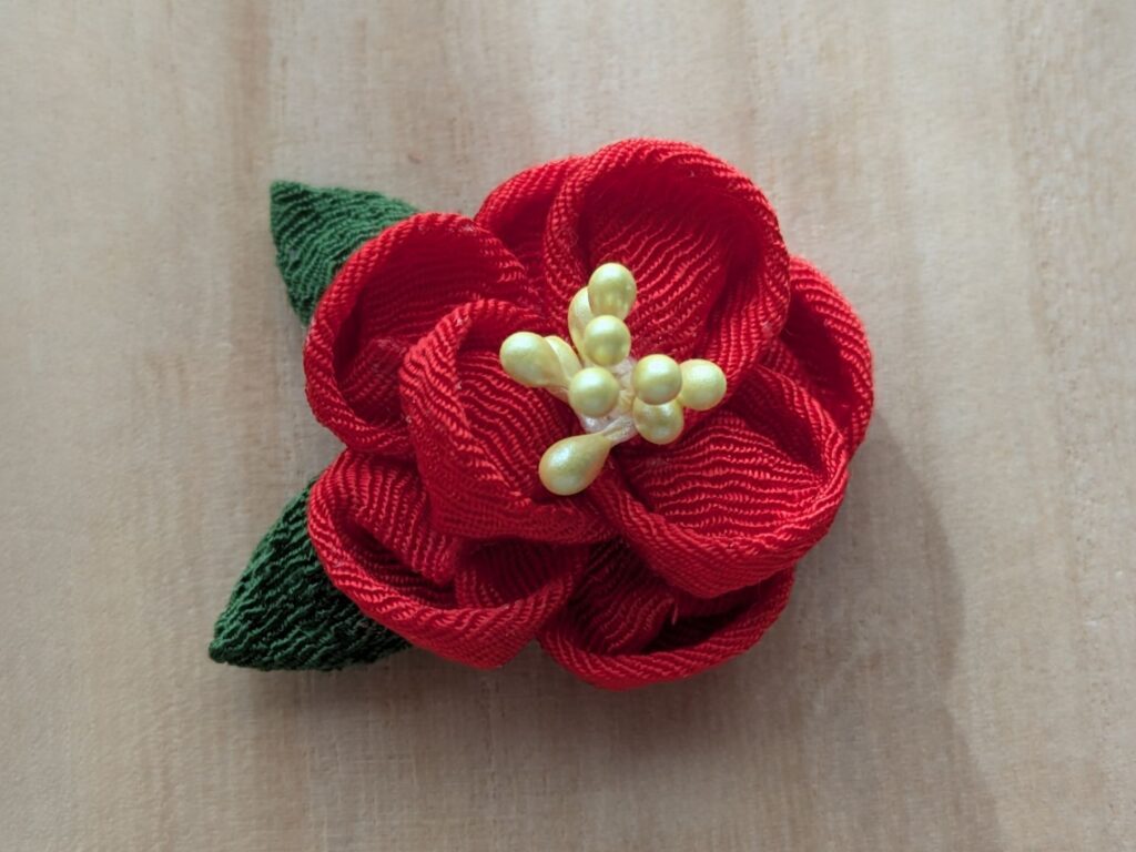 椿の上からの写真