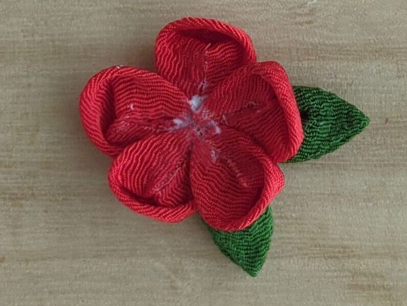 丸裏返しの花びらを5枚配置したところ