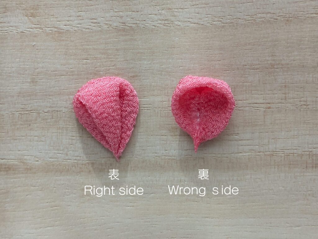 丸裏返しの花びら（表、裏）