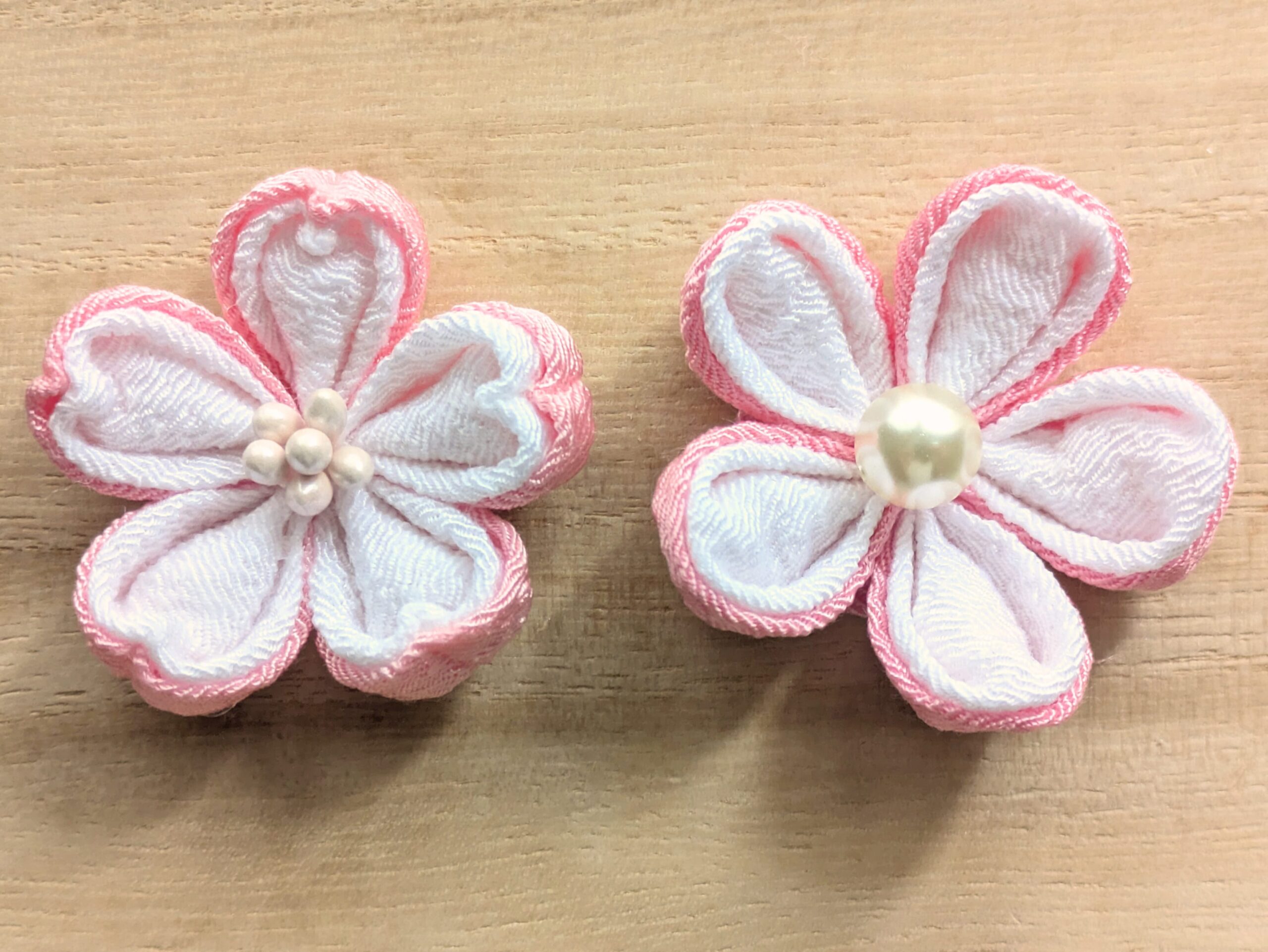二重丸つまみと桜