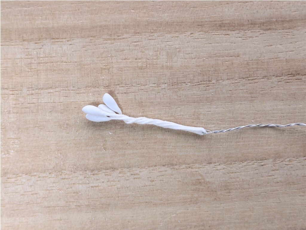 ペップの花芯の完成